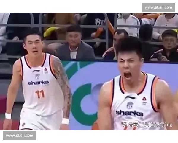 辽宁对阵广厦巅峰碰撞强强对话谁能笑到最后的关键一战焦点之夜