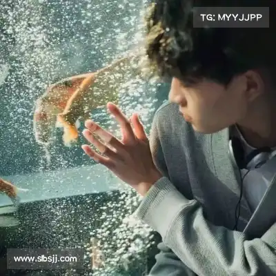 蓬宝蝶